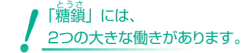 「糖鎖」には、2つの大きな働きがあります。