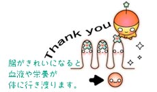 �u�������ꂢ�ɂȂ�ƌ��t��h�{���̂ɍs���n��܂��v�̃C���X�g